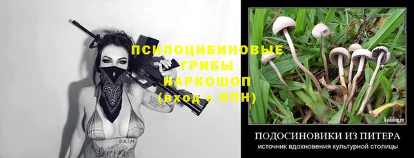 кристаллы Гусиноозёрск