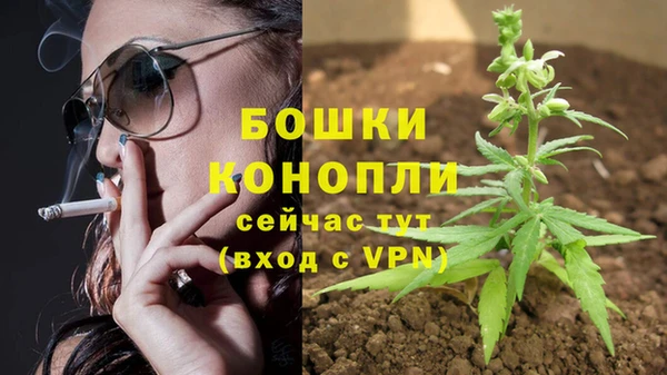 COCAINE Гусь-Хрустальный
