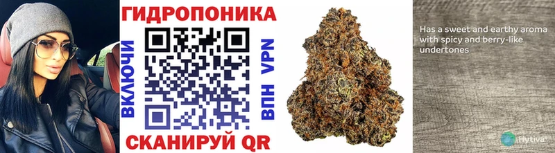 Бошки Шишки ГИДРОПОН  как найти   Олонец 